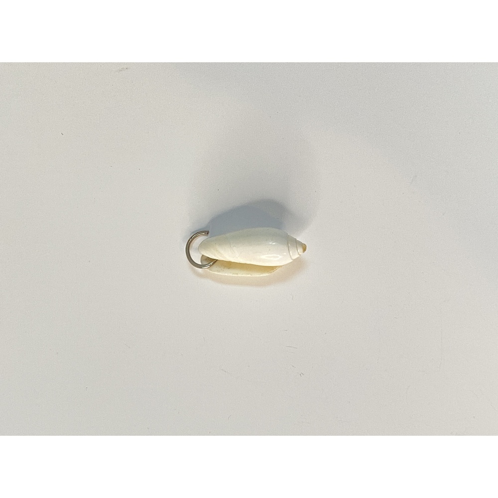 Real Shell Cream Necklace Pendant or Charm